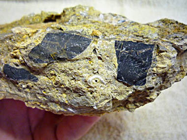 Click f&uuml;r gr&ouml;&szlig;eres Bild