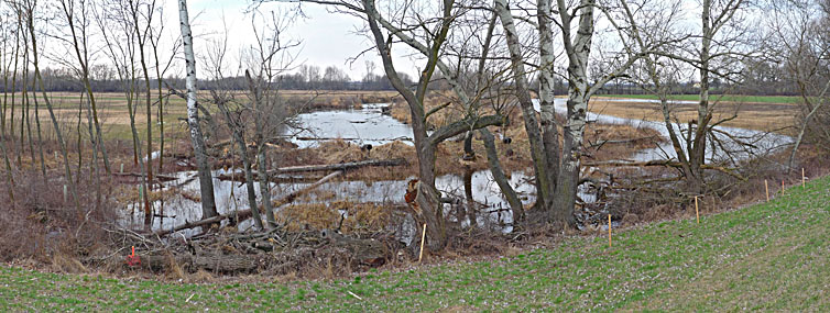 Marchdamm - Klick f&uuml;r gr&ouml;&szlig;eres Bild