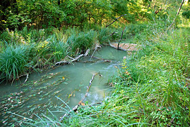 Klick f&uuml;r gr&ouml;&szlig;eres Bild