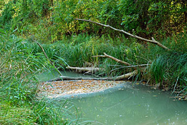 Klick f&uuml;r gr&ouml;&szlig;eres Bild