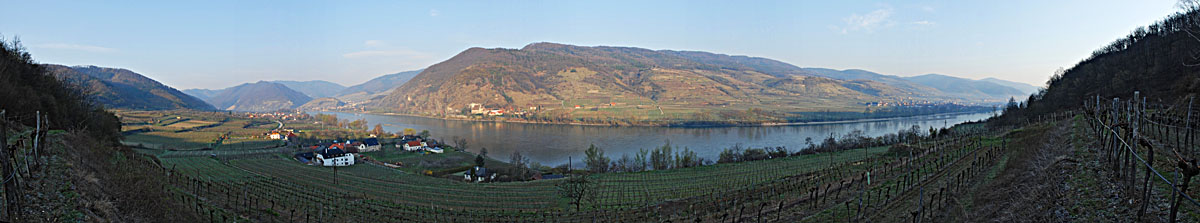 Weinbergblick auf Spitz
