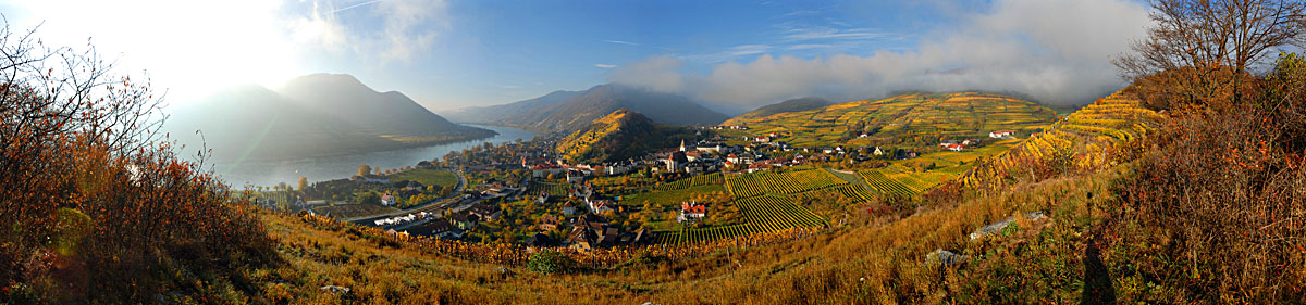 Wachau, Spitz