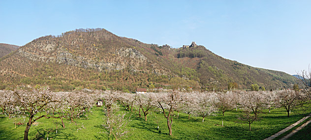 Aggstein und Tischwand