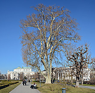 Volksgarten