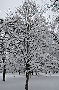 Klick f&uuml;r gr&ouml;&szlig;eres Bild