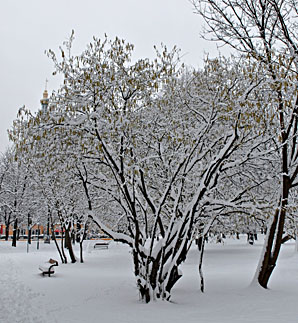 Klick f&uuml;r gr&ouml;&szlig;eres Bild